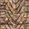 Надувной коврик KLYMIT STATIC V REALTREE EDGE Камуфляж 6IVED02C
